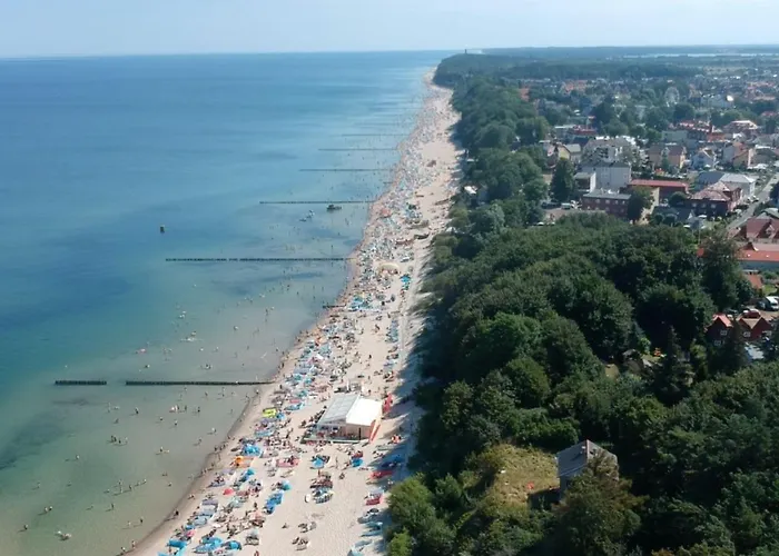 Zuza 아파트 레왈